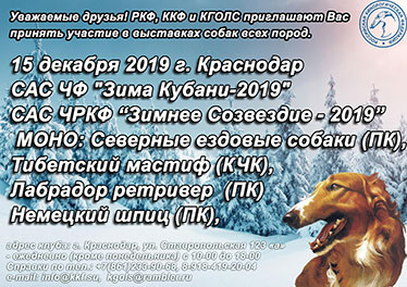 Зима Кубани - 2019