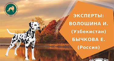 Осень Кубани - 2025