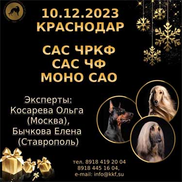 Среднеазиатская Овчарка - 2023