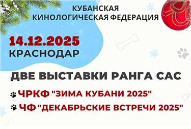 Зима Кубани - 2025